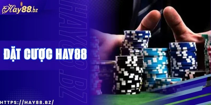 Hướng Dẫn Đặt Cược Nhanh Cho Người Mới Bắt Đầu