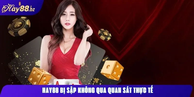 Hay88 Bị Sập Không? Cách Nhận Biết Website Giả Mạo 1 Hay88 bị sập không qua quan sát thực tế