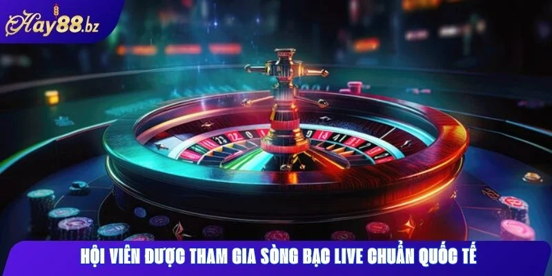 Trải nghiệm Hay88 Đánh giá chất lượng dịch vụ từ người chơi 2 Hội viên được tham gia sòng bạc live chuẩn quốc tế