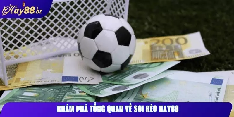 Soi kèo hay88: Phân tích chuyên sâu, kèo ngon hôm nay 1 Khám phá tổng quan về soi kèo Hay88