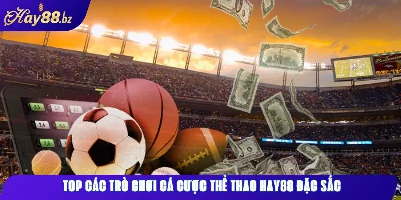 Cá Cược Thể Thao Hay88 – Tỷ Lệ Cạnh Tranh, Nhiều Kèo Hot 2 Top các trò chơi cá cược thể thao Hay88 đặc sắc